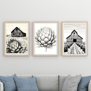 Stampa artistica di carciofo stampabile Set di 3 - Arte in bianco e nero - Stampa botanica fienile e carciofo - Arte digitale scaricabile - Oggettistica per la casa