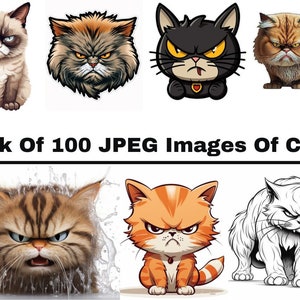 Funny Grumpy Red Cat Icon Vector Stock Illustration - Download