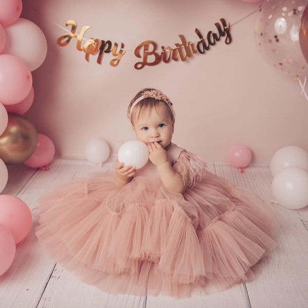 First Birthday Dress, Baby girl birthday dress, Baby Girl dress Special Occasion, First Birthday Dress, Birthday Dress Girls Blush Dress