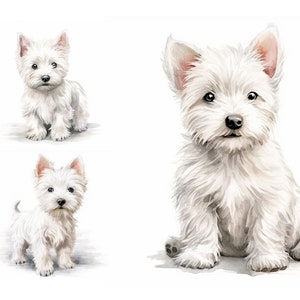 Westie Dogs Watercolor Clipart Bundle 9 High Quality JPGs, West Highland White Terrier, Watercolor Dogs and Puppies for Commercial Use, Cute