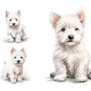 Dog food commercial with westie cheap