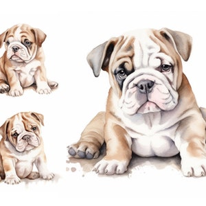 Clipart acquerello bulldog inglese 9 JPG di alta qualità, cani e cuccioli Bulldog, tecnica mista, creazione con carta digitale, clipart vivaio di cane carino