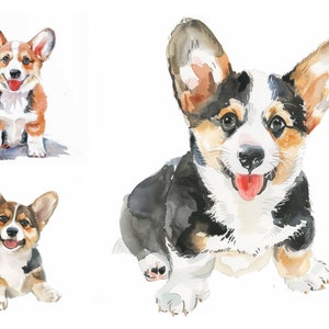 Aquarell Corgis Clipart Bundle, hochwertige JPGs, Haustier Clipart, digitaler Planer, Kartenherstellung, Journaling, süßer Hund Clipart, Welpe Clipart