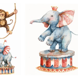 Lindo conjunto de imágenes prediseñadas de animales de circo, descarga digital, uso comercial, scrapbooking, animales de acuarela, imágenes prediseñadas de circo, imágenes prediseñadas para niños, guardería