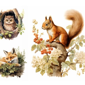 Woodland Animal Clipart Bundle, Nursery Print, High Quality, Digital Download, Forest Baby Animal Clipart, Fox Owl Deer Clipart, Commercial