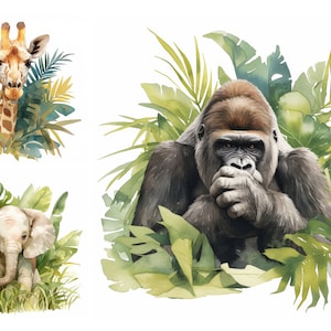 Jungle Animal Clipart Bundle, Safari Animals, Watercolor Jungle Clipart, Giraffe, Lion, Hippo, High Quality JPGs, Digital Download, Animals