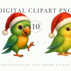 Christmas Parrot Clipart PNG, Tropical Birds in Santa Hats, Watercolor Holiday Parrots for Winter Cards, Nursery Art, Sublimation Projects