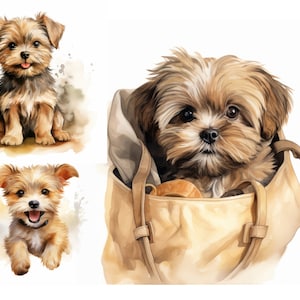Yorkshire Terrier Clipart Bundle, JPG High Quality, Yorkshire Clipart, Cute Puppy Clipart, Watercolor Dog Breed Clip Art, Digital Planner