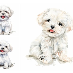 White Westie Dog Clipart Bundle, 9 High Quality JPGs, Digital Download, Watercolor Dog Clipart, Cute White Dog Wall Art, White Terrier Decor