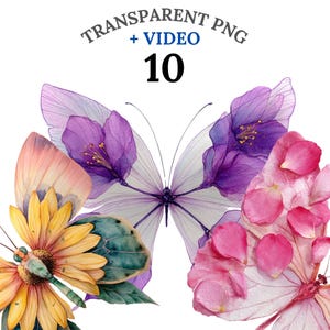 10 Schmetterling Clipart PNG, Aquarell Schmetterling Bundle + Video, Sublimation Blumen Tier Kunst, digitaler Download, kommerzielle Nutzung
