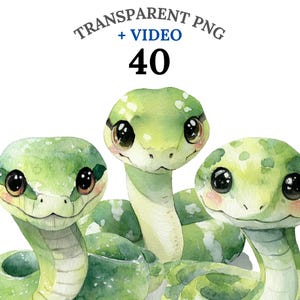 40 Cute Snake Clipart PNG + Video, Cartoon Baby Snake & Reptile Clipart, Jungle Animal Bundle, Fast Download, Commercial Use