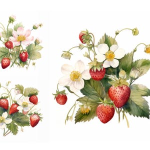9 Watercolor Strawberry Clipart, High Quality JPGs, Card Making Mixed Media, Digital Paper, Craft Junk Journals, Blooming Strawberry Jpegs