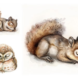 Nursery Woodland Sleeping Animal Clipart Bundle, Forest Animal, Watercolor Woodland Clipart, Nursery Animals Clipart, Digital Cute Stickers