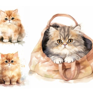 Persian Cat Clipart Bundle, Watercolor Kitten Clipart, Commercial Use, Baby Shower Decor, Wall Art, Cat Clipart, Cat Breed, Persian Kitten