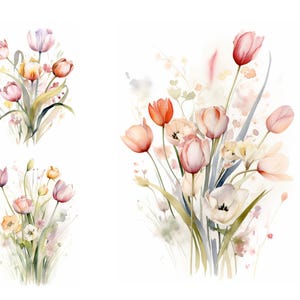 Tulip Clipart, Tulip Blooms, Tulip Bouquet, Tulip Floral, Tulip Illustration, Tulip Decor, Tulip Design, Tulip Petals, Tulip Blossoms