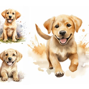 Clipart JPG de chiot Labrador Retriever, haute qualité, mignon chien race des cliparts, clipart Labrador aquarelle, clipart chiots, fabrication de cartes JPG