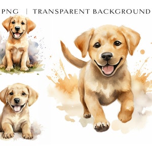 Labrador Retriever Puppy Clipart PNG, High Quality, Cute Dog Breed Clipart, Watercolor Labrador Clip Art, Puppies Clipart, Card Making PNG