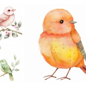 Watercolor Bird Clipart Bundle, Digital Download, Nursery Bird Wall Art, Scrapbooking, Printable Decor, Digital Sticker, Coomercial Use