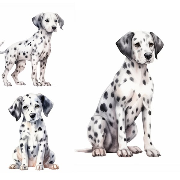 Dalmatian Dog Clipart, High Quality JPGs, Dog Breed Animal Clipart for Commercial Use, Dog Watercolor Clipart, Instant Download, Cute Puppy