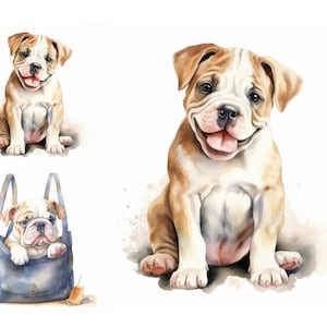 Französische Bulldogge Clipart Bundle, hochwertige JPGs, Hund Sublimation, süße Bulldogge in Tasche Clipart, Kartenherstellung, süßer Hund Clipart, Digitaldruck