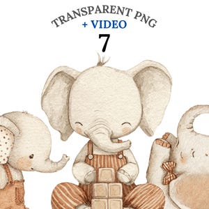7 elefantungar Clipart PNG + video, Boho Safari Circus Barnkammardjur Akvarell Bundle, Baby Shower Clipart, Snabb Nedladdning Kommersiellt Använd