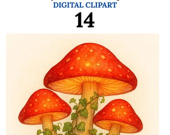 Enchanted Mushroom Clipart Set, Whimsical Fantasy Mushrooms, Fairy Cottagecore Art, Fast Download, Commercial Use, 14 JPEGs