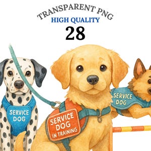 May include: Watercolor illustration of three service dogs: a Dalmatian, a Golden Retriever, and a German Shepherd. The Golden Retriever wears a harness that says "SERVICE DOG IN TRAINING." The Dalmatian and German Shepherd wear vests that say "SERVICE DOG."