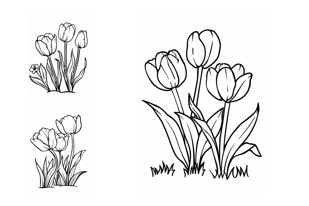 Tulips Coloring Page for Kids, Instant Download, Coloring Book, Digital