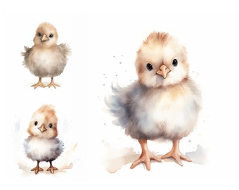 Baby Chicken Watercolor Clipart Bundle, Pngs, Digital Crafting, Farm ...