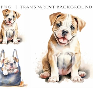 Französische Bulldogge Clipart Bundle, hochwertige PNG, Hund Sublimation, süße Bulldogge in Tasche Clipart, Kartenherstellung, süße Hund Clipart, Digitaldruck