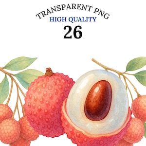 Lychee Clipart PNG Bundle, Watercolor Lychee Fruit Clipart Set, Tropical Fruit Clipart for Cocktails & Cakes, Fast Download, Commercial Use