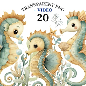 20 Whimsical Seahorse Clipart PNG + Video, Watercolor Ocean Clipart, Under the Sea Animals, Digital Download, Nursery Decor, Commercial Use