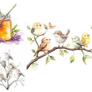 Lentevogels, honingpot, bloementak, cottagecore-decor, vintage kabouter, aquareltaart, botanisch nest, fietsbloemen, rustieke charme