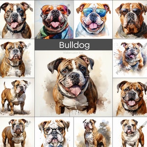 Watercolor Bulldog, 16 High Quality Dog Clipart, Card Making, Digital Paper Craft, Wall Art, Commercial Use - Digital Download