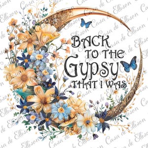 De vuelta a la gitana que era PNG, Archivos digitales, Letras de Stevie Nicks, Boho