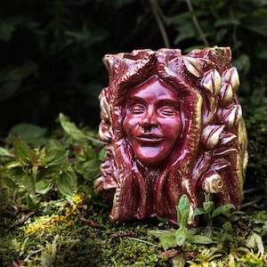 Tree Face Plant Pot, Womans Face Planter, Cottagecore Gift, Dark Red Witchy Planter, Garden Ornament, Indoor Gardening, My Magickal Meadow