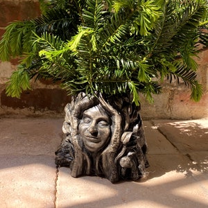 Puede incluir: Un macetero decorativo con forma de rostro de mujer con una planta verde frondosa que crece en la parte superior. El macetero está hecho de un material marrón oscuro y tiene una superficie texturizada.