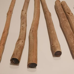 Macrame sticks / sticks / branches / sticks, natural, sanded, various sizes 15-110 cm