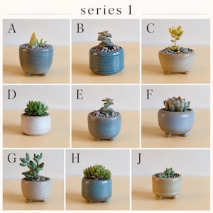 May include: A collection of nine small ceramic planters labelled series 1, each containing a unique succulent plant. The pots feature various blue, grey, and beige glazes, with some designs including three small feet at the base and gravel soil.