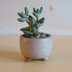 Handmade Stoneware Mini Succulent Pot with Feet – Modern Studio Ceramics (6-7cm diameter)