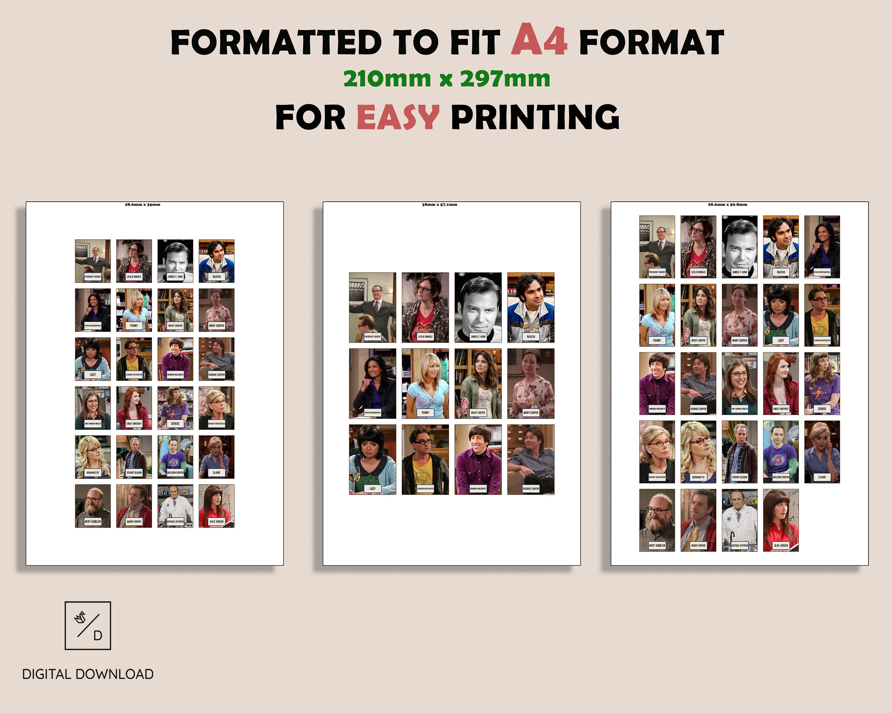 The Big Bang Theory Printable Guess Who Print at Home Digital Download ...