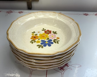 Mikasa Garden club stoneware set of large dinner bowls