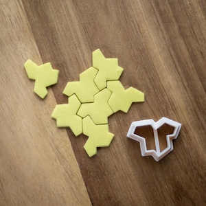 Einstein hatt | Lera utstickare | Fondant utstickare