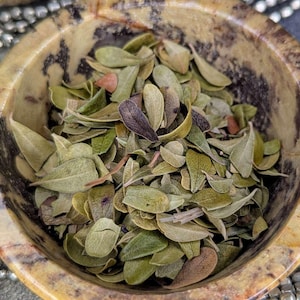 Uva Ursi Leaf Natural Herbs 1/2oz / 1oz / 2oz