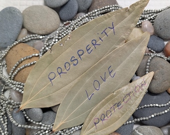 Extra Large Bay Leaves — Intention • Prosperity • Success & Manifestation Magic