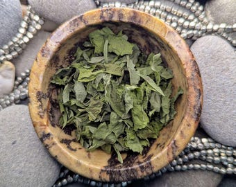 Biologisch weegbreekruid (Plantago Major): genezend • kracht • geaarde bescherming