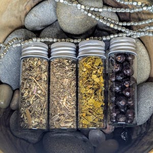 Könnte beinhalten: Vier kleine Glasflaschen mit silbernen Deckeln, gefüllt mit getrockneten Kräutern und Beeren. Die Flaschen sind in einer Reihe auf einer Holzoberfläche mit grauen Steinen angeordnet.