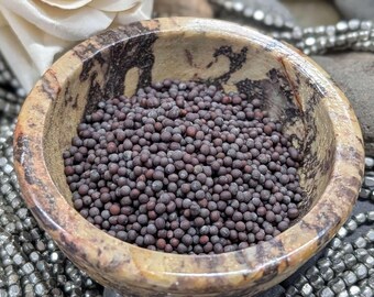 Black Mustard Seeds - Protection • Courage • Fire Magic