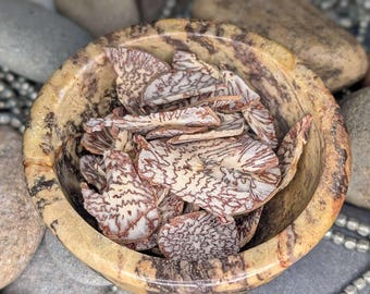 Betel Nut Slices 1/2oz / 1oz