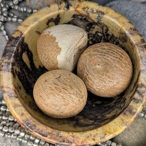 Betel Nut (Areca nut) Organic Herbs - 3 Nuts